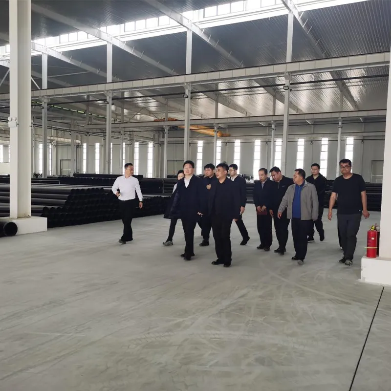 Руководство уезда Цан проинспектировало новый завод ООО Хэбэй Аньдуань Технологии Индастриз (1)