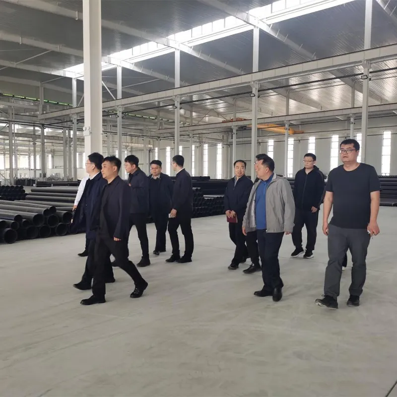 Руководство уезда Цан проинспектировало новый завод ООО Хэбэй Аньдуань Технологии Индастриз (2)