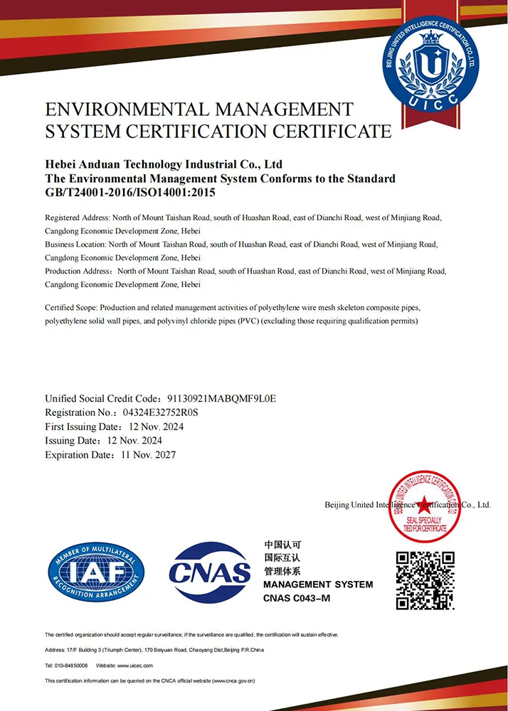 Сертификат (1)