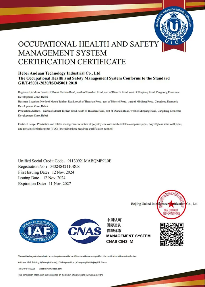 Сертификат (2)