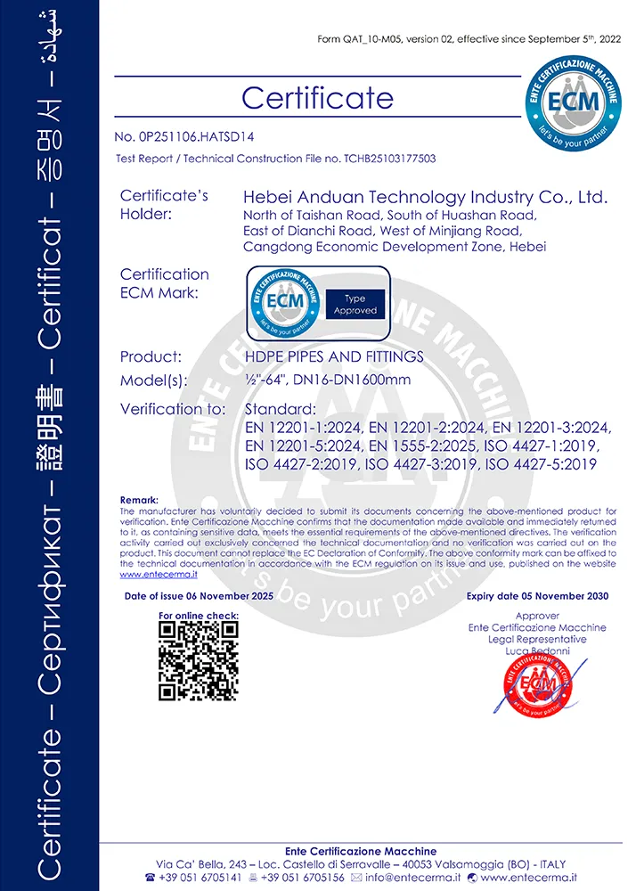 Сертификат (4)