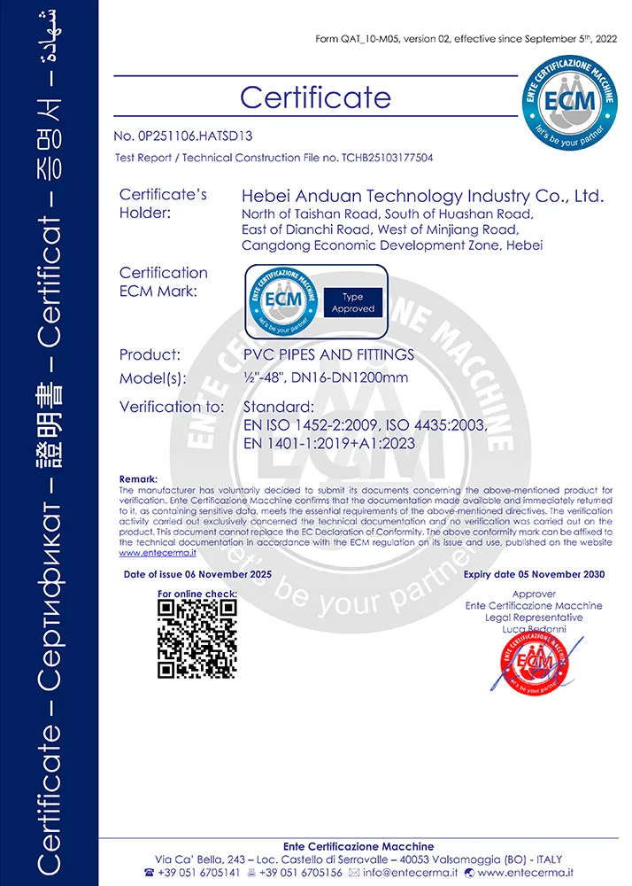 Сертификат (5)